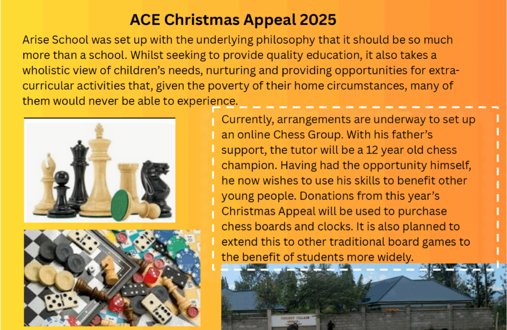 ACE Foundation Christmas appeal newsletter featuring the chess plans