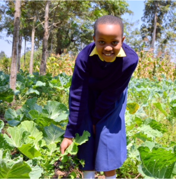 Students growing their own vegetables at Arise School